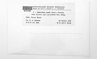 Sphaceloma populi image